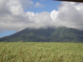 St Kitts Train Ride17